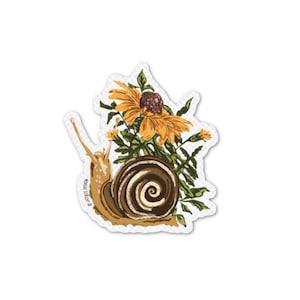 Sticker vinyle escargot mat