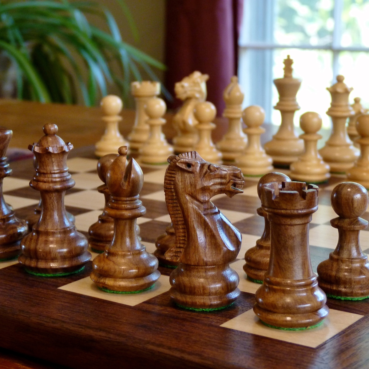 Walnut and Maple Chess Board + Pieces