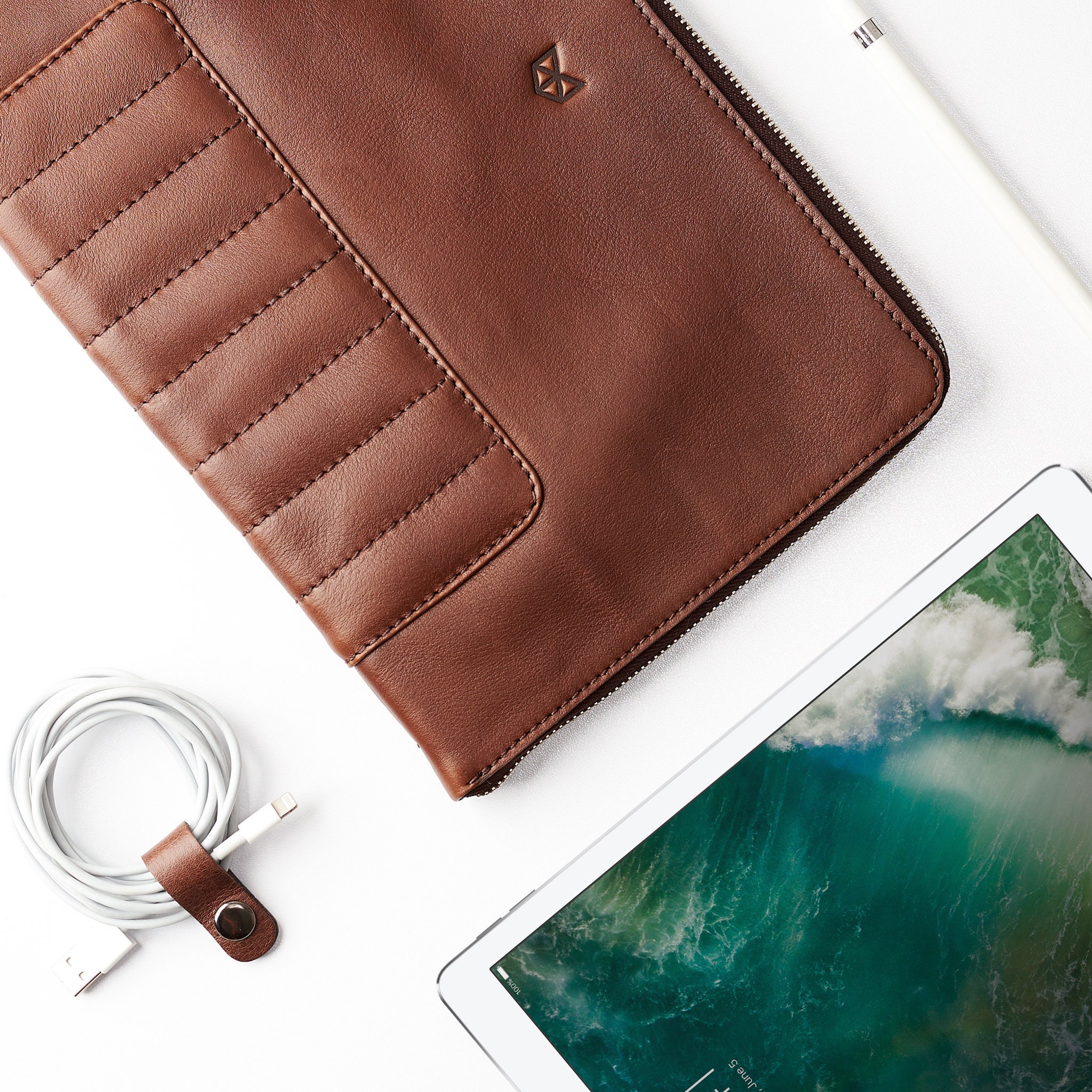 Brown Leather Travel Tech Organizer Men, iPad Case, Electronics