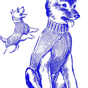 May include: A blue line drawing of a dog wearing a knitted sweater. The text "DOG'S COAT" is above the dog.