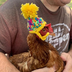 Chicken Hats-Yep, It’s A Thing