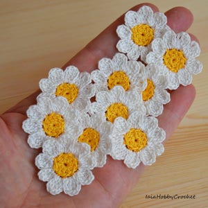 10 Margherite all'uncinetto, Fiori fatti a mano all'uncinetto, Piccoli fiori all'uncinetto , Fiori Applique, decorazioni di nozze- set di 10