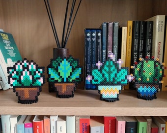 Piante grasse in vaso, succulente, cactus, cacti, decorazione, perline hama, perline perler