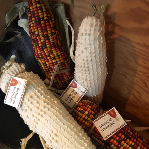 Freshly Harvested Indian Corn -knobby chenille or harvest kernals