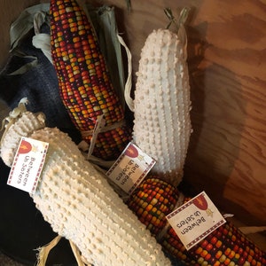 Freshly Harvested Indian Corn knobby chenille or harvest kernals image 1