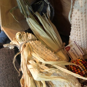 Freshly Harvested Indian Corn knobby chenille or harvest kernals image 2