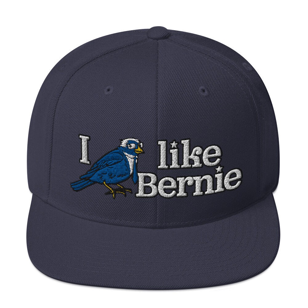 I Like Bernie Knit Hat Embroidered Snapback Hat | Bernie Birdie Sanders ...