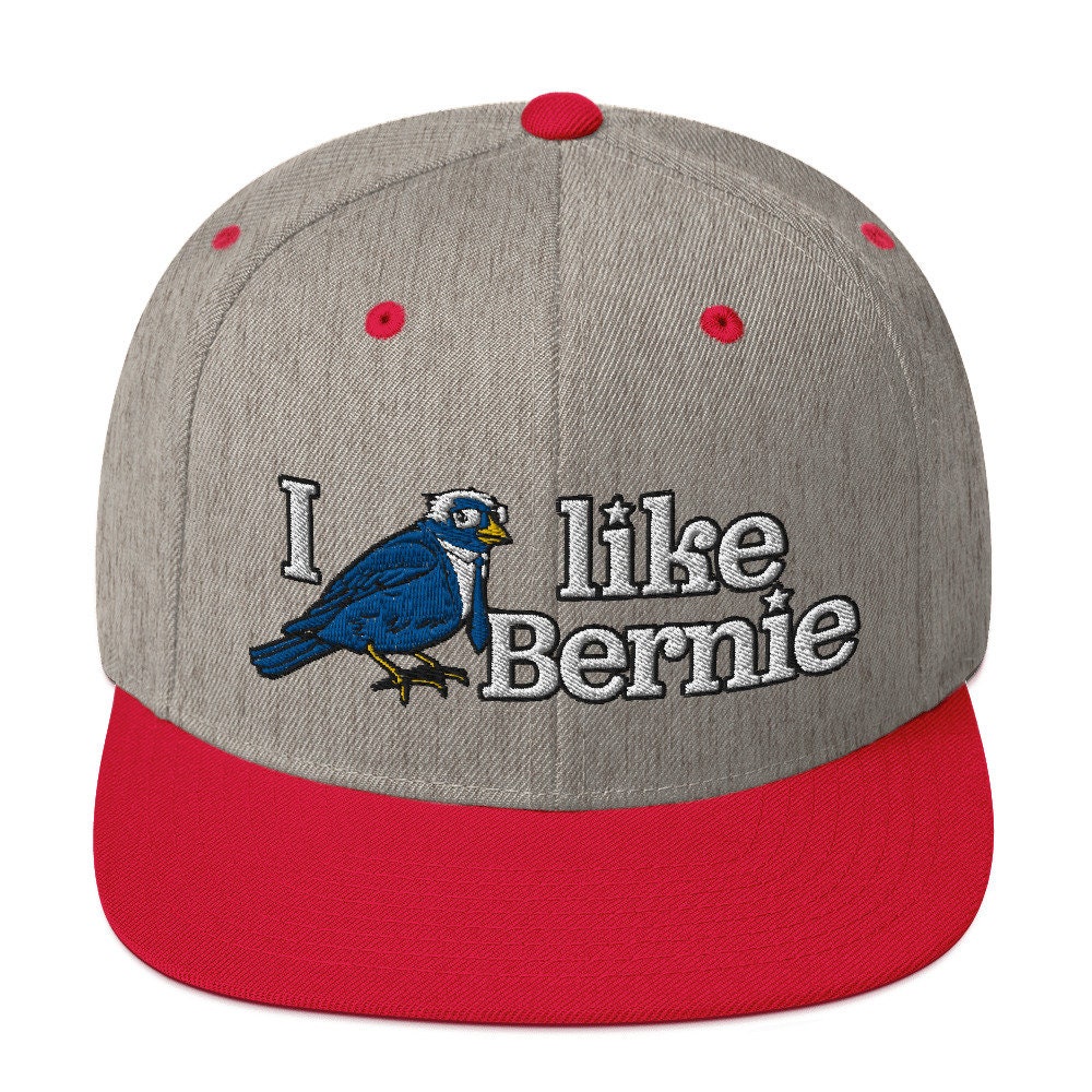 I Like Bernie Knit Hat Embroidered Snapback Hat | Bernie Birdie Sanders ...