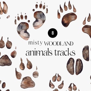 Trilhas de animais Clipart em aquarela, trilha de animais da floresta, decoração florestal, estilo rústico, guia de campo florestal, elementos de pegadas de animais png