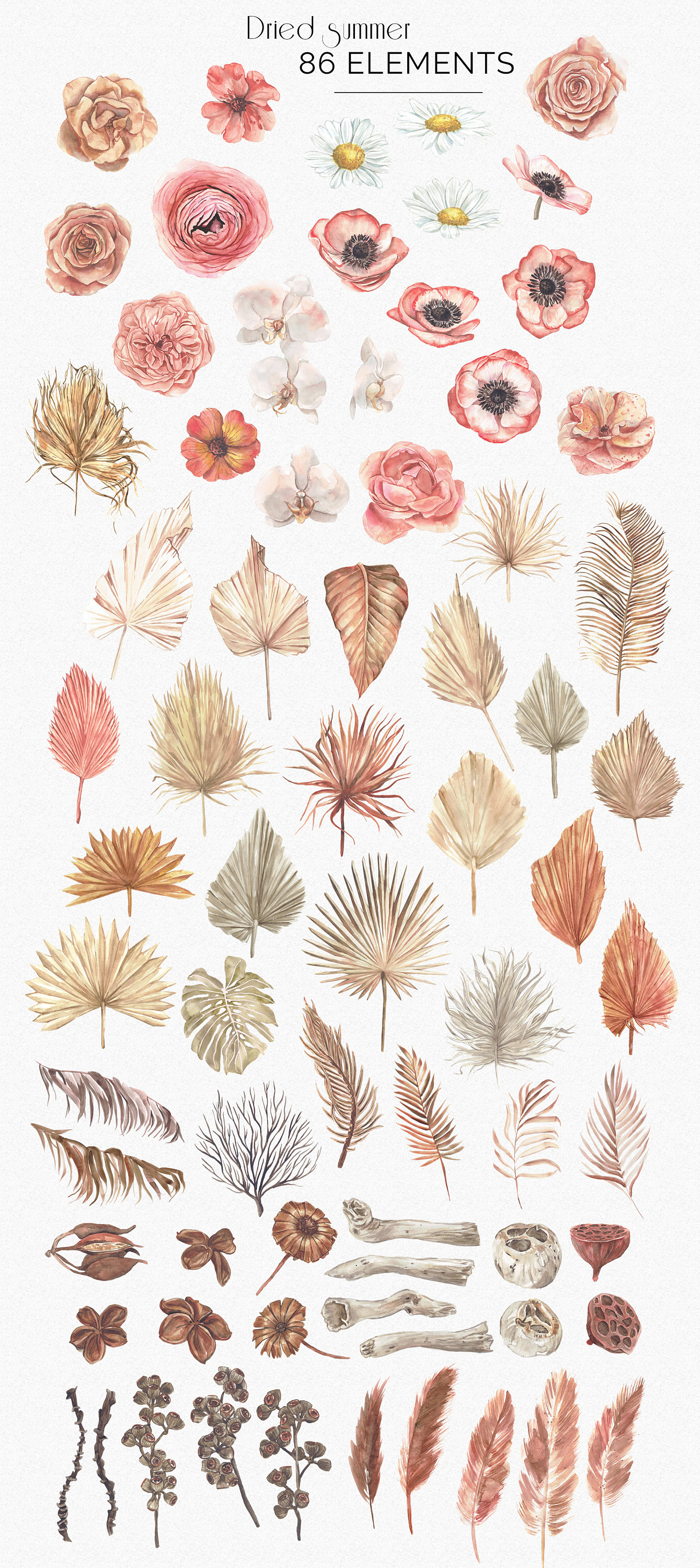 Watercolor Boho Floral Clipart Boho Flowers and Dried Palm - Etsy