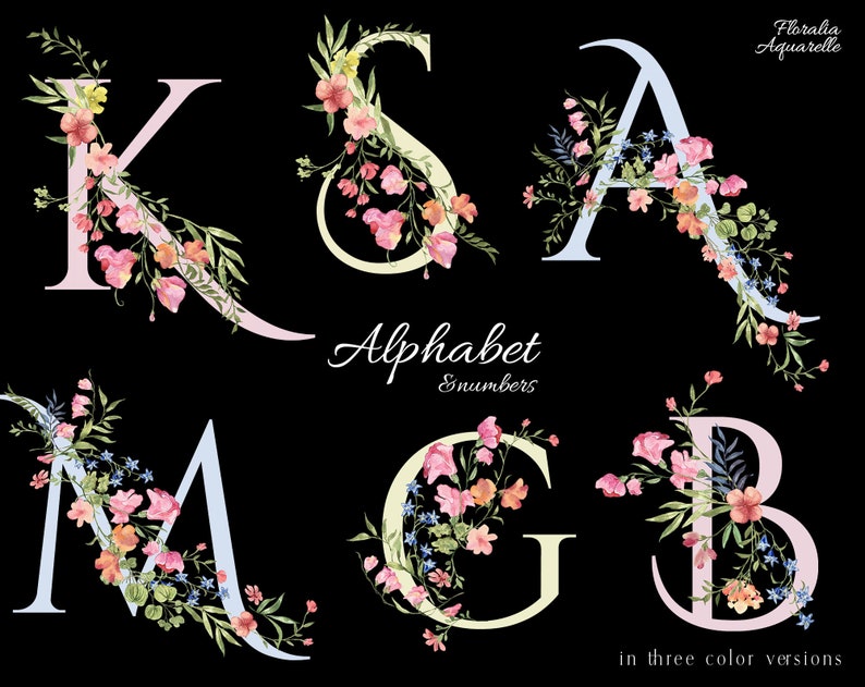 Pastel floral Alphabet, Regency era wedding monogram, Fairytale Letters wedding invite, Romantic watercolor flowers image 3