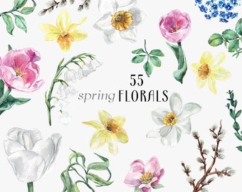 SPRING Essentials FLORA, pastel floral watercolor, daffodils tulips clipart narcissus lilies of the valley flowers greenery PNG