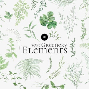 Zachte groen elementen aquarel clipart, delicate bladeren, gebladerte varens groen, bos bruiloft uitnodigen logo, bos blad PNG