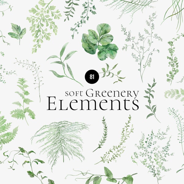 Weiches Grün Elements Aquarell Clipart, zarte Blätter, Laub Farne grün, Waldhochzeit einladen Logo, Waldblatt PNG