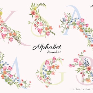 Pastel floral Alphabet, Regency era wedding monogram, Bridgerton style, Fairytale Letters wedding invite, Romantic watercolor flowers