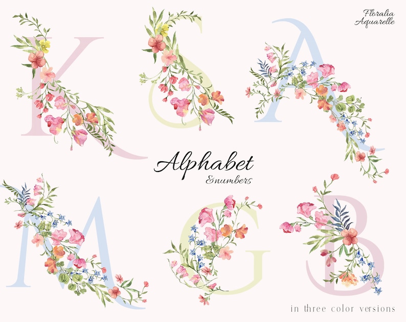 Pastel floral Alphabet, Regency era wedding monogram, Fairytale Letters wedding invite, Romantic watercolor flowers image 1