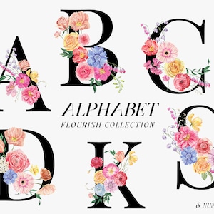FLOURISH acuarela floral Alfabeto clipart, Flores brillantes Números de letras, vibrantes imágenes prediseñadas florales de verano, monograma de boda Imágenes prediseñadas digitales