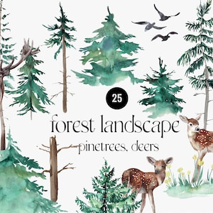 Clipart degli alberi della foresta dell'acquerello, elementi degli animali della foresta, clipart degli alberi di pino Invito a nozze, alberi del bosco nebbioso, cervi PNG, logo