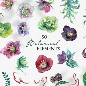Botanica DIY éléments aquarelle, fleurs et feuilles peintes à la main, faire-part de mariage botanique, graphiques floraux, clipart PNG numérique, fougères