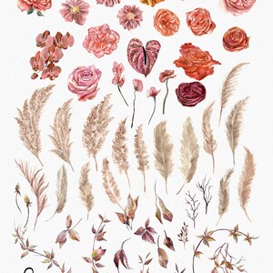 Bohemian Bloom Pampas Grass clipart, boho dried palm leaves, floral watercolor roses, neutral elements, dried flowers digital PNG image 2