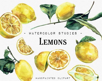 Lemons Watercolor Studies, Fruits watercolor clipart, Vegan Eco Food Digital, Lemon Watercolor Fruits clipart Food PNG citrus lemonade