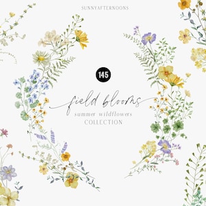 Clipart floral aquarelle de fleurs sauvages, fleurs pressées délicates, petites fleurs douces, invitation de mariage jardin jardin fleurs d'été PNG