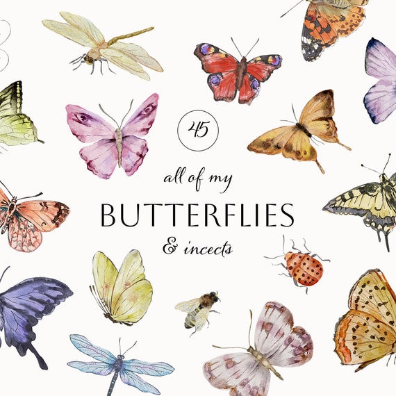 Watercolor Butterfly Clipart, Garden Insect Illustrations, Watercolor Butterflies Clipart, Insects, Floral Wedding invite PNG