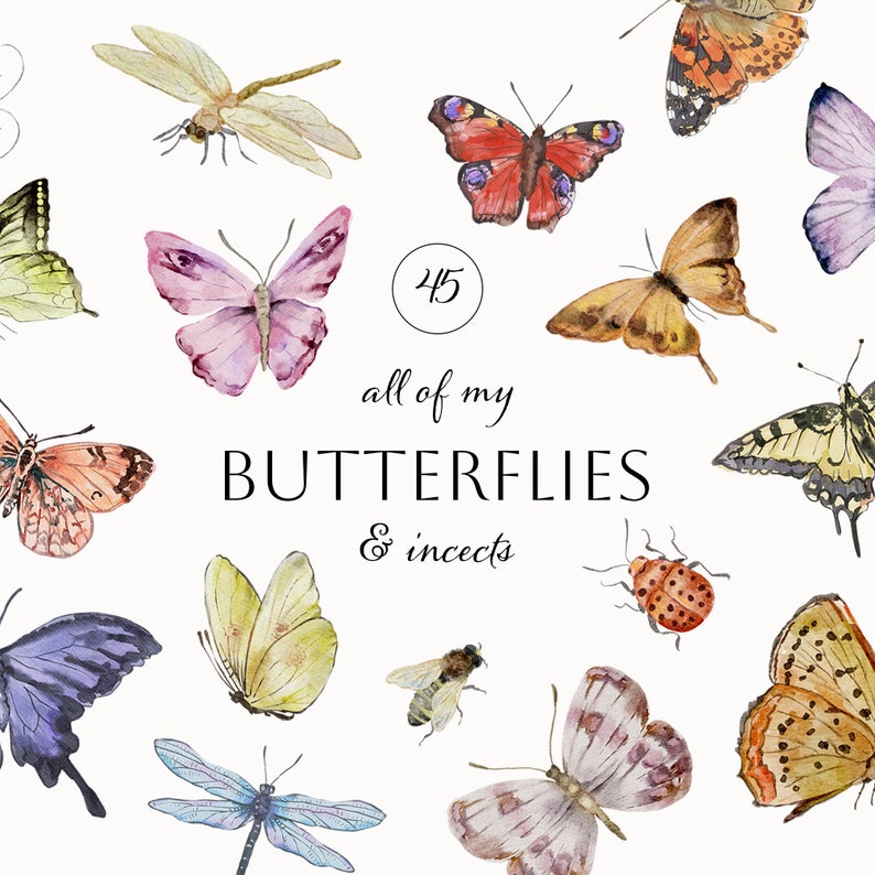 May include: A watercolour illustration of 45 butterflies and insects. The butterflies are in various colours, including pink, blue, yellow, orange, and brown. The insects include a dragonfly, a bee, and a ladybug. The text "45 all of my BUTTERFLIES & insects" is written in the centre of the image.