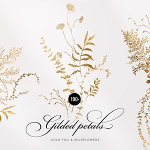 Gouden Lineart bloemen clipart, Gouden bladeren krans, Gouden gebladerte Afzonderlijke elementen, Delicate Gold eucalyptus fern bladeren logo