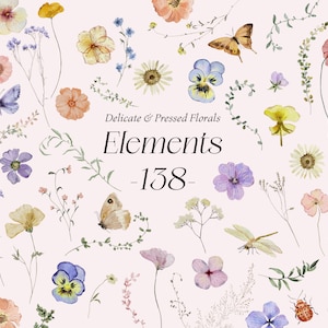 Wilde Wiese Elements Wildblumen Aquarell Clipart, zarte gepresste Blumen, winzige Blumen Sommer Feld Blumen bündeln Schmetterlinge