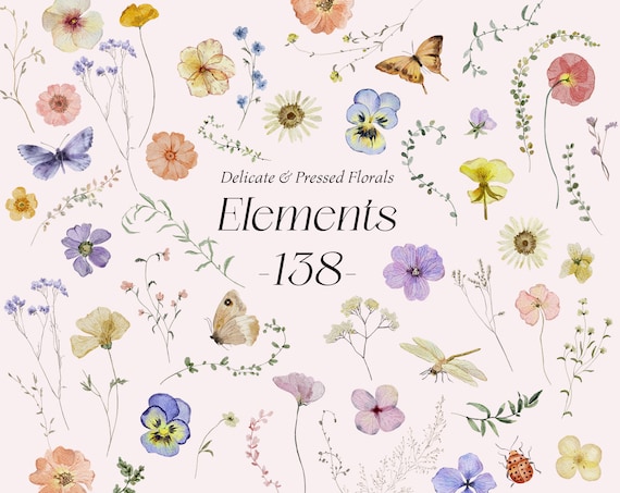 Wild Meadow Elements Wildflower Watercolor clipart, Delicate pressed flowers, Tiny florals Summer field Flowers bundle butterflies