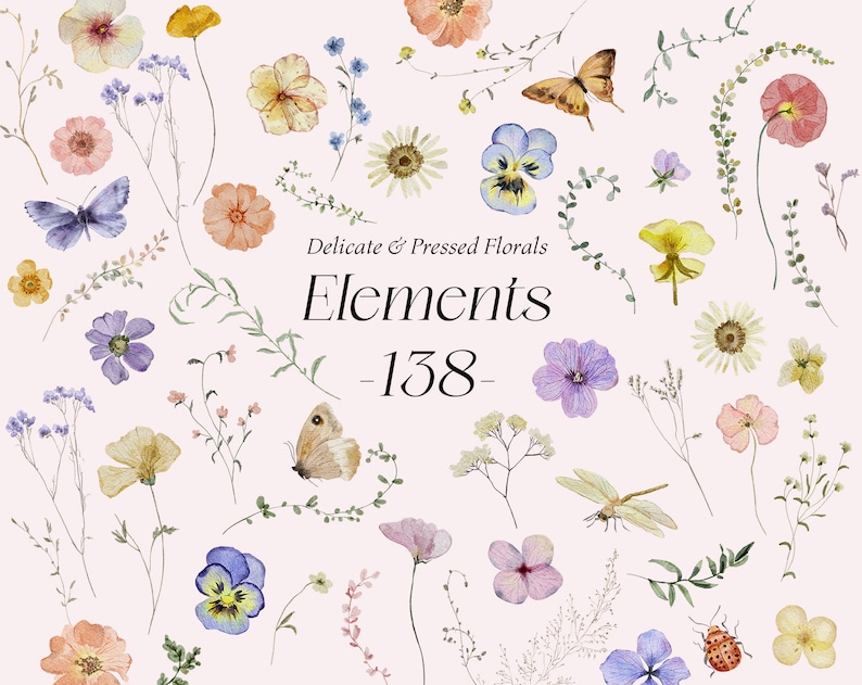 May include: A collection of 138 delicate pressed floral elements, including butterflies, dragonflies, and various flowers in shades of pink, purple, yellow, and blue. The text "Delicate & Pressed Florals Elements - 138 -" is displayed in the center of the image.