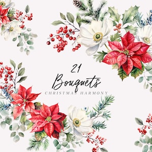 Buquês florais de harmonia de Natal clipart em aquarela, convite de flores de Natal, cartão de férias de inverno, anêmona poinsétia png