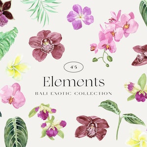 以下が含まれることがあります： ラン、フランジパニ、ヤシの葉など、熱帯の花や葉の水彩画イラスト。イラストはピンク、パープル、グリーン、イエローの色合いで描かれています。テキスト「45 Elements Bali Exotic Collection」も含まれています。
