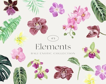 Bali Tropical Watercolor floral Elements clipart, exotic flowers & jungle leaves Element DIY, Paradise wedding invitation, Orchid flower PNG