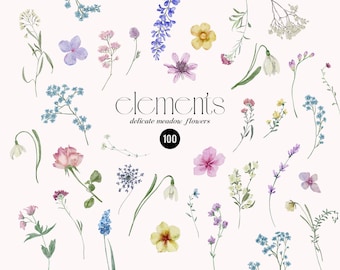 Aquarela Florais Selvagens clipart floral de flores silvestres Elementos DIY, Delicadas flores de campo prensadas, Convite de casamento de flores minúsculas, PNG