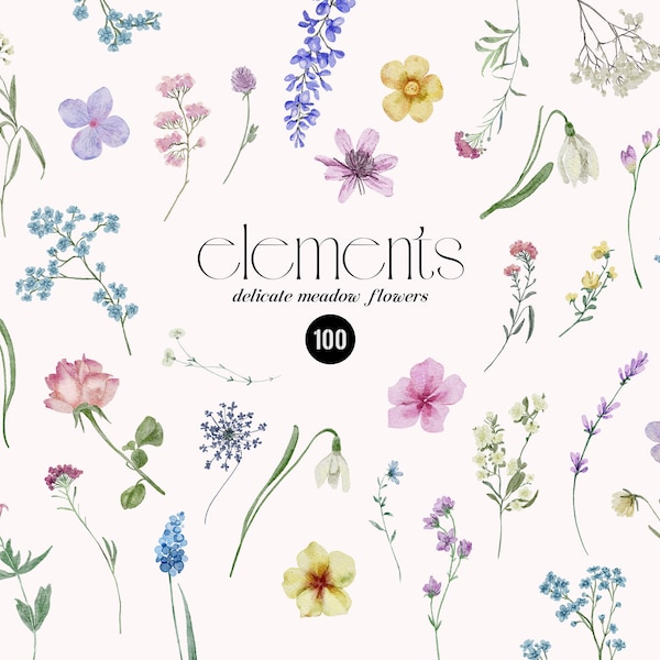 Aquarell Wild Florals Wildblumen Blumen Clipart Elemente DIY, zarte gepresste Feldblumen, kleine Blumen Hochzeit Einladung PNG