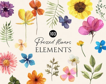 Aquarelle florale d'éléments de fleurs pressées - fleurs séchées, clipart d'herbes, éléments séparés floraux vintage botaniques colorés numériques PNG