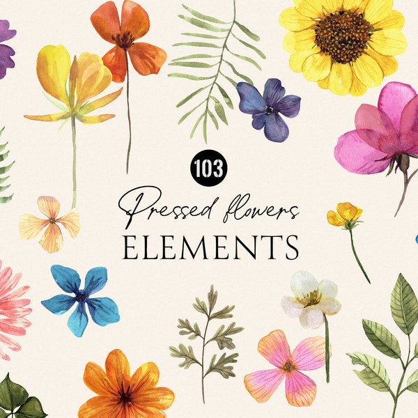 Pressed Flowers Elements floral watercolor - dried flowers, herbs clipart, Colorful botanic Vintage Floral separated elements digital PNG