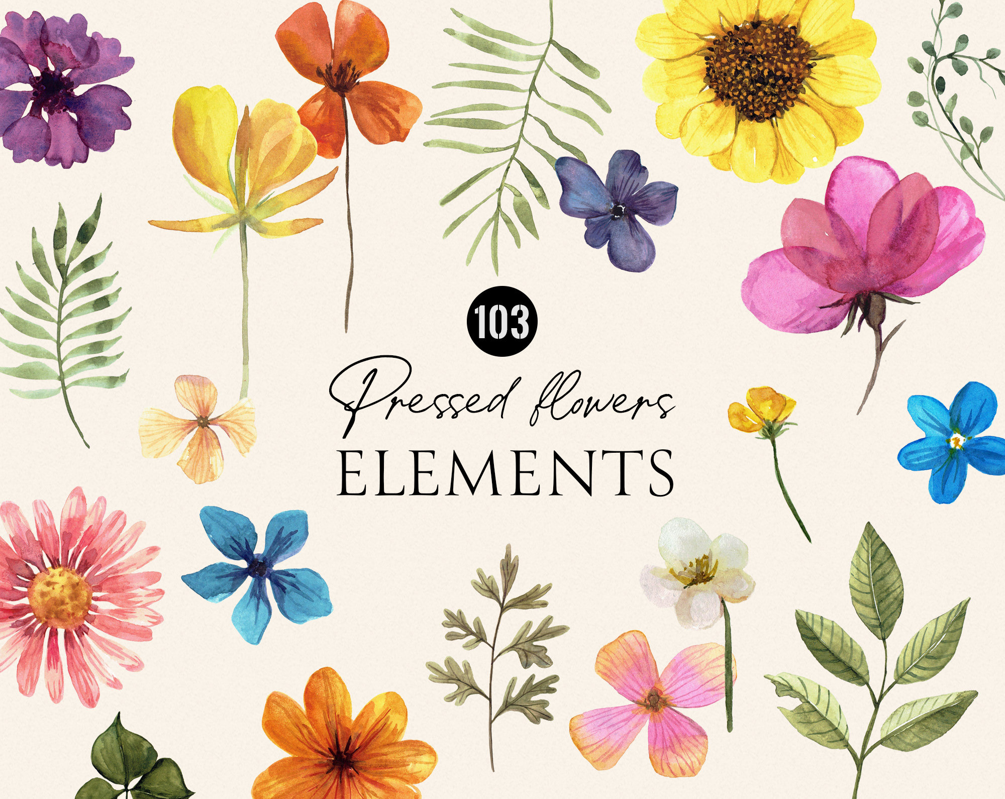 Printable pressed dried flowers & plants PNG