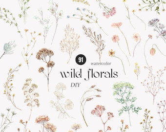 May include: 91 watercolor wild florals DIY. A collection of watercolor illustrations of various wild flowers, grasses, and foliage in shades of pink, white, green, brown, and yellow.