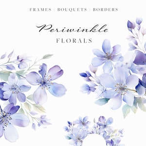 Aquarel bloemen clipart-delicate bloemen-maagdenpalm aquarel bloemen-bruiloft bloemen clipart-licht blauwe bloemen frames, randen
