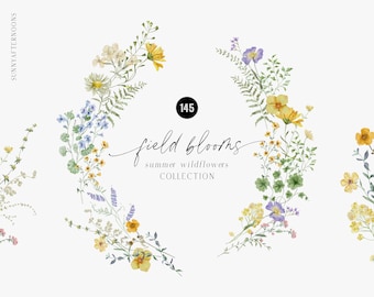 Watercolor Wildflowers floral clipart, Delicate pressed flowers, Tiny soft flowers, Summer Field Blooms garden wedding invititation PNG