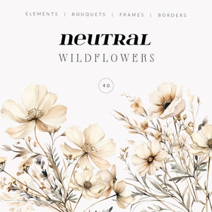 Aquarelle neutre Fleurs séchées clipart - Fleurs séchées PNG - Éléments de fleurs sauvages DIY - Bouquets de fleurs neutres invitation de mariage clipart