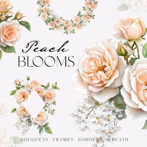 Aquarell Pfirsich Rosen Blumen Clipart - Blush Austin Roses Rahmen - Blush Rosensträuße - Pfirsich Hochzeit Einladungskranz