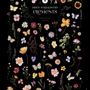 Puede incluir: Una colecci&oacute;n de 98 flores silvestres secas pintadas a mano y mariposas en varios colores, incluyendo rosa, amarillo, azul y morado. Los elementos est&aacute;n dispuestos sobre un fondo negro.