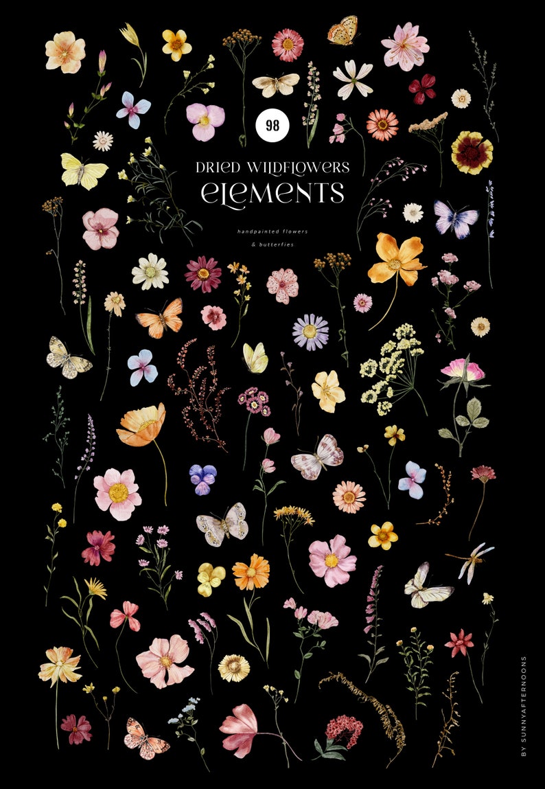 Puede incluir: Una colecci&oacute;n de 98 flores silvestres secas pintadas a mano y mariposas en varios colores, incluyendo rosa, amarillo, azul y morado. Los elementos est&aacute;n dispuestos sobre un fondo negro.