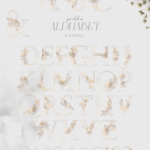 May include: Gold alphabet and numbers with floral accents. Each letter and number is outlined in gold and filled with a delicate floral pattern.