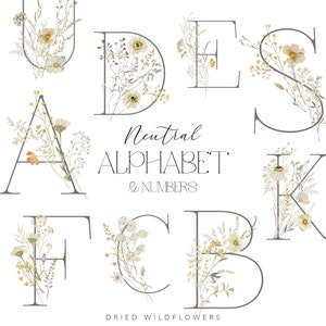 Clipart alphabet fleurs sauvages des prairies neutres, monogramme de mariage aquarelle fleurs séchées des champs, Png de fleurs sauvages d'été, lettres bohèmes de fleurs sauvages