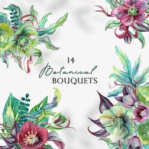 Botanica Floral Aquarelle Bouquets clipart, arrangements floraux, compositions botaniques de fleurs aquarelles, mariage élégant PNG numérique